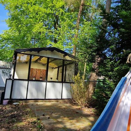 "Dennenhuisje" Op Bospark Ijsselheide Hattemerbroek Exteriér fotografie