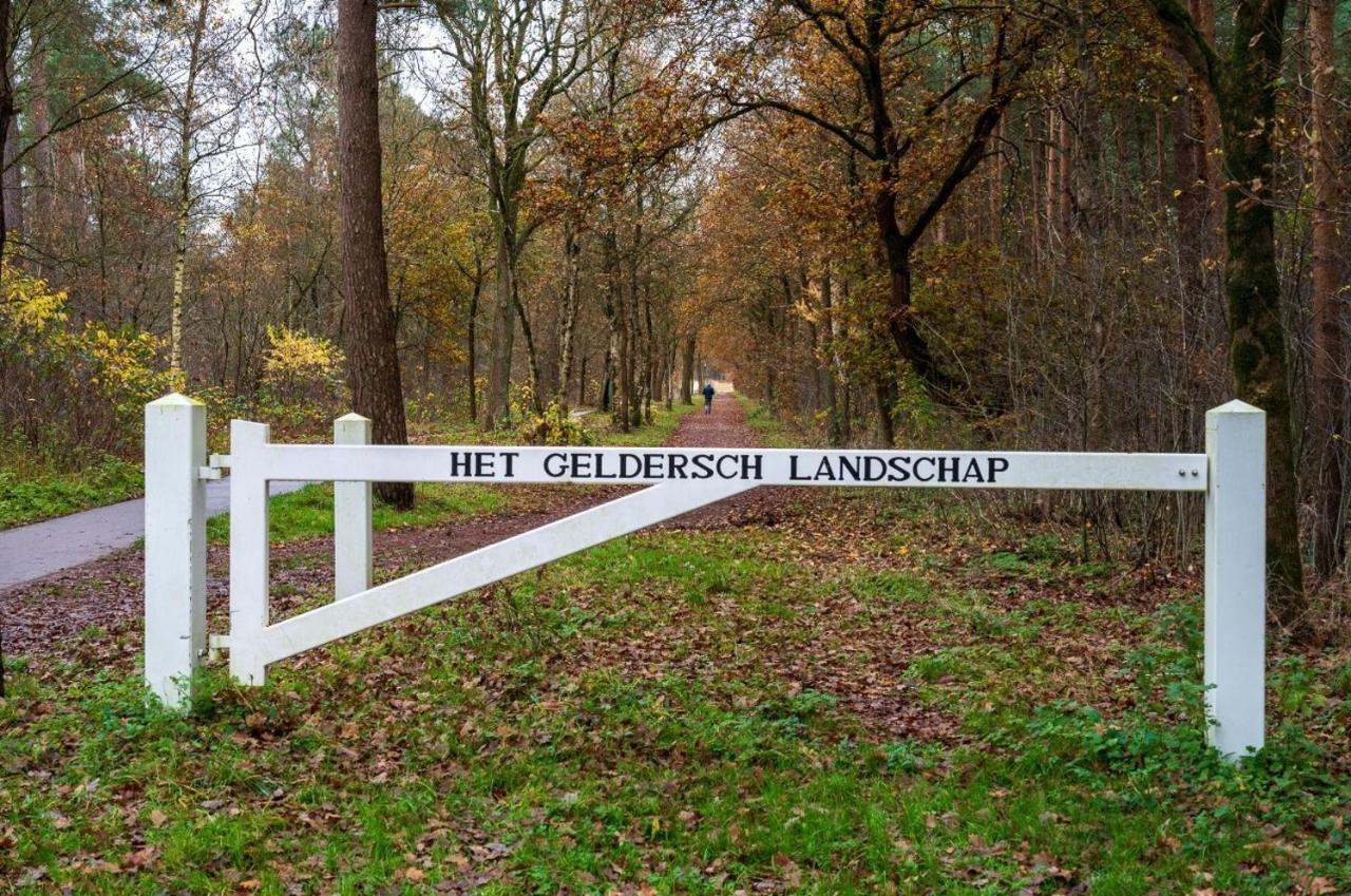 "Dennenhuisje" Op Bospark Ijsselheide Hattemerbroek Exteriér fotografie